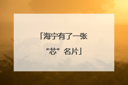 海宁有了一张“芯”名片