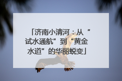 济南小清河：从“试水通航”到“黄金水道”的华丽蜕变