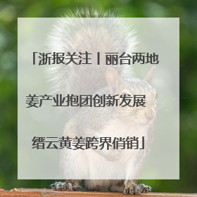 浙报关注丨丽台两地姜产业抱团创新发展 缙云黄姜跨界俏销