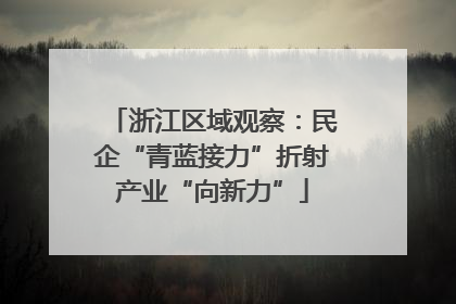 浙江区域观察：民企“青蓝接力”折射产业“向新力”