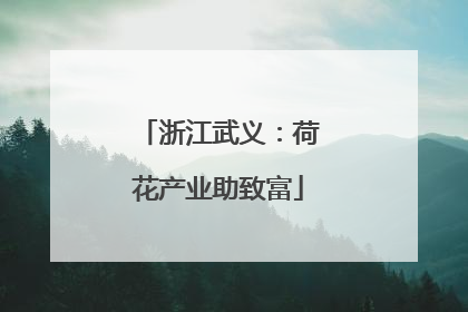 浙江武义：荷花产业助致富