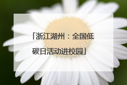 浙江湖州：全国低碳日活动进校园