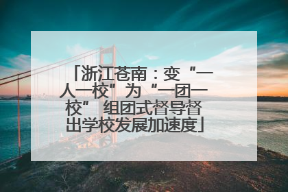 浙江苍南：变“一人一校”为“一团一校” 组团式督导督出学校发展加速度