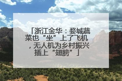 浙江金华：婺城蔬菜也“坐”上了飞机，无人机为乡村振兴插上“翅膀”
