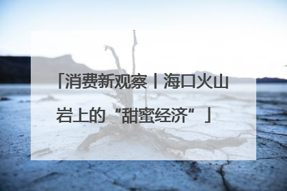 消费新观察丨海口火山岩上的“甜蜜经济”