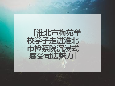 淮北市梅苑学校学子走进淮北市检察院沉浸式感受司法魅力