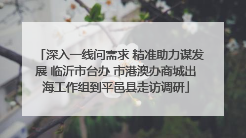 深入一线问需求 精准助力谋发展 临沂市台办 市港澳办商城出海工作组到平邑县走访调研