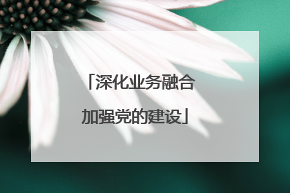 深化业务融合 加强党的建设