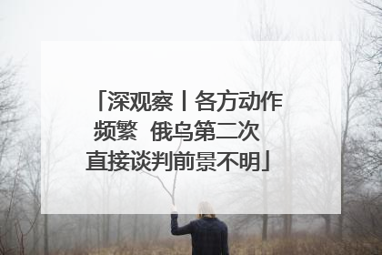 深观察丨各方动作频繁  俄乌第二次直接谈判前景不明