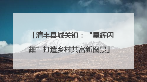 清丰县城关镇：“星辉闪耀”打造乡村共富新图景