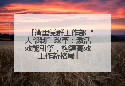 湾里党群工作部“大部制”改革：激活效能引擎，构建高效工作新格局
