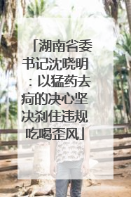 湖南省委书记沈晓明：以猛药去疴的决心坚决刹住违规吃喝歪风