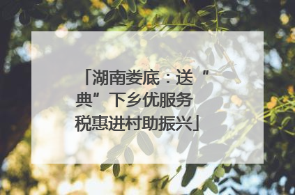 湖南娄底：送“典”下乡优服务 税惠进村助振兴