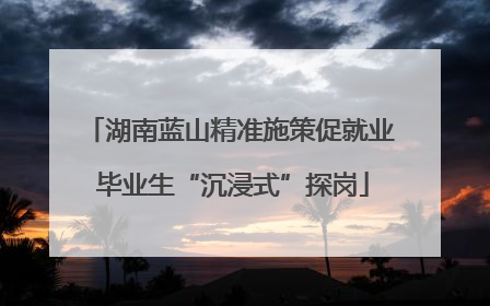 湖南蓝山精准施策促就业 毕业生“沉浸式”探岗