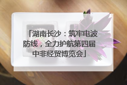 湖南长沙：筑牢电波防线，全力护航第四届中非经贸博览会