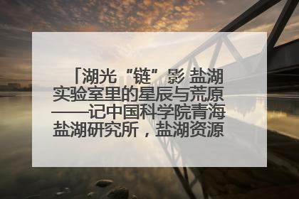 湖光“链”影 盐湖实验室里的星辰与荒原——记中国科学院青海盐湖研究所，盐湖资源化学实验室党总支书记、副主任刘忠