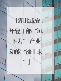 湖北咸安：年轻干部“沉下去” 产业动能“涨上来”