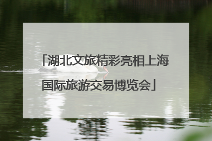 湖北文旅精彩亮相上海国际旅游交易博览会