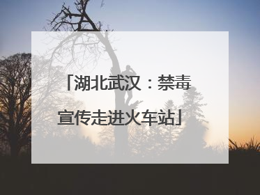 湖北武汉：禁毒宣传走进火车站