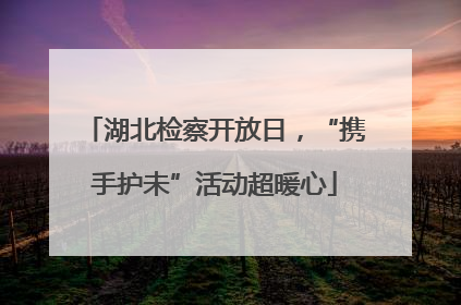 湖北检察开放日，“携手护未”活动超暖心