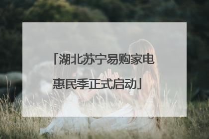 湖北苏宁易购家电惠民季正式启动