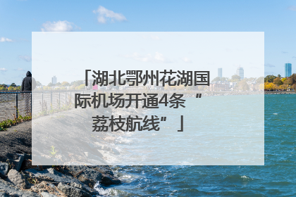 湖北鄂州花湖国际机场开通4条“荔枝航线”