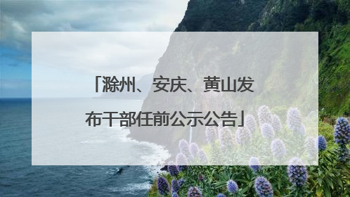 滁州、安庆、黄山发布干部任前公示公告