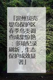 滨州贝壳堤岛保护区春季鸟类调查成果惊艳：多项纪录刷新，生态保护成效显著