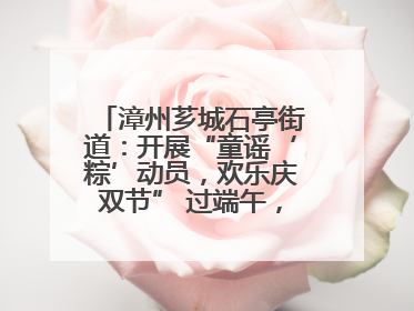 漳州芗城石亭街道：开展“童谣‘粽’动员，欢乐庆双节” 过端午，庆六一活动