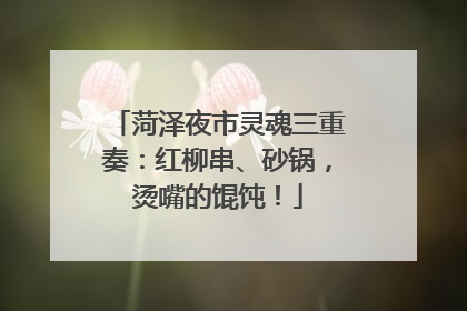 菏泽夜市灵魂三重奏：红柳串、砂锅，烫嘴的馄饨！