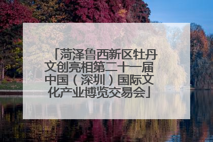 菏泽鲁西新区牡丹文创亮相第二十一届中国（深圳）国际文化产业博览交易会