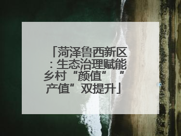 菏泽鲁西新区：生态治理赋能乡村“颜值”“产值”双提升