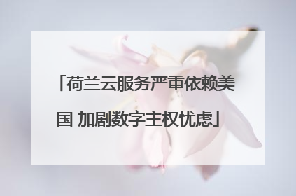 荷兰云服务严重依赖美国 加剧数字主权忧虑
