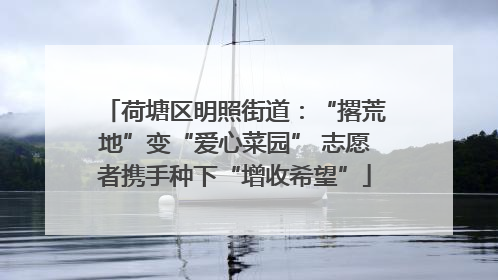 荷塘区明照街道：“撂荒地”变“爱心菜园” 志愿者携手种下“增收希望”