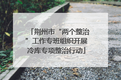 荆州市“两个整治”工作专班组织开展冷库专项整治行动