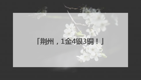 荆州，1金4银3铜！