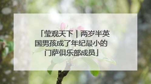 莹观天下｜两岁半英国男孩成了年纪最小的门萨俱乐部成员