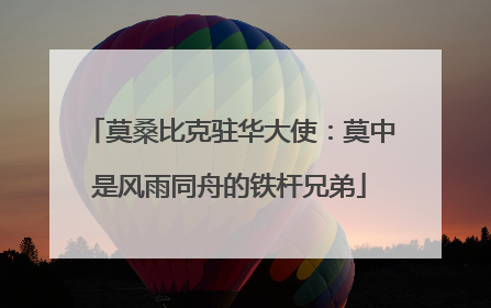 莫桑比克驻华大使：莫中是风雨同舟的铁杆兄弟