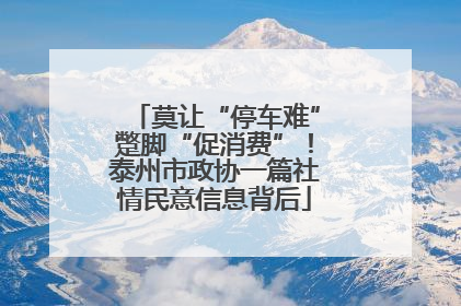 莫让“停车难”蹩脚“促消费”！泰州市政协一篇社情民意信息背后