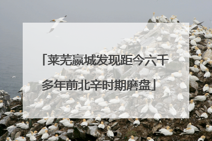 莱芜嬴城发现距今六千多年前北辛时期磨盘
