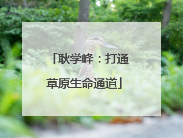 耿学峰：打通草原生命通道