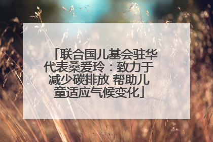联合国儿基会驻华代表桑爱玲：致力于减少碳排放 帮助儿童适应气候变化