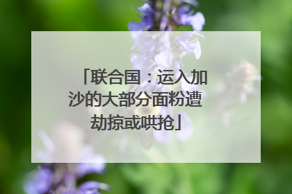 联合国：运入加沙的大部分面粉遭劫掠或哄抢