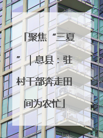 聚焦“三夏”｜息县：驻村干部奔走田间为农忙