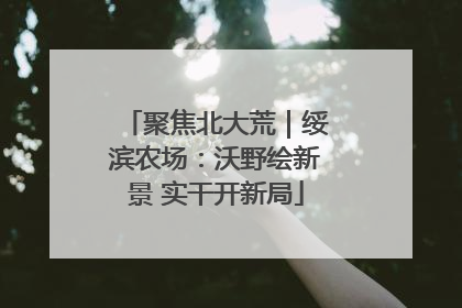 聚焦北大荒｜绥滨农场：沃野绘新景 实干开新局
