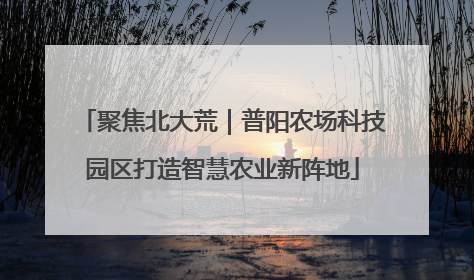 聚焦北大荒｜普阳农场科技园区打造智慧农业新阵地
