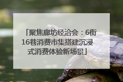 聚焦廊坊经洽会：6街16巷消费市集搭建沉浸式消费体验新场景