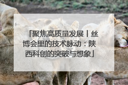 聚焦高质量发展丨丝博会里的技术脉动：陕西科创的突破与想象