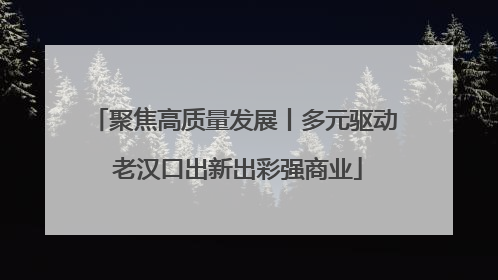 聚焦高质量发展丨多元驱动 老汉口出新出彩强商业