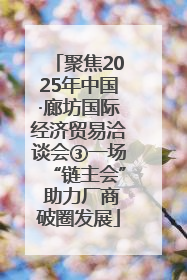 聚焦2025年中国·廊坊国际经济贸易洽谈会③一场“链主会” 助力厂商破圈发展